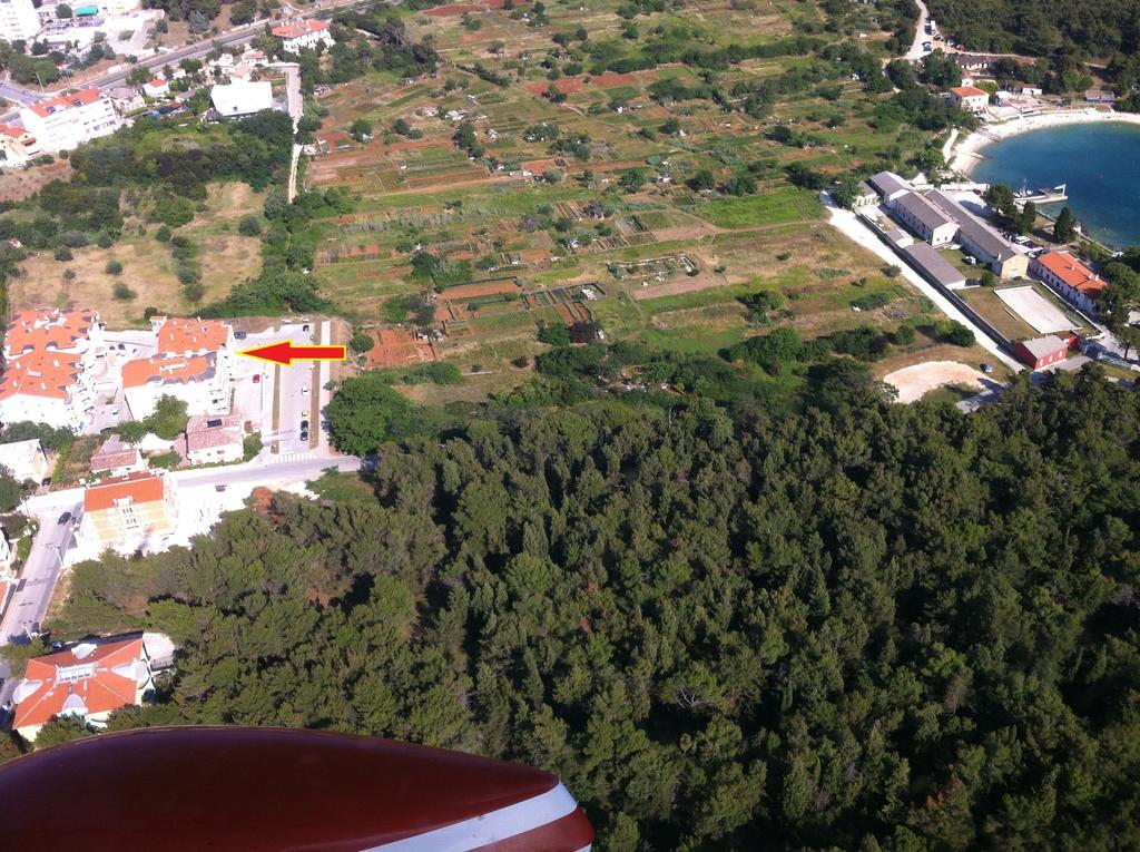 Dora * Pula